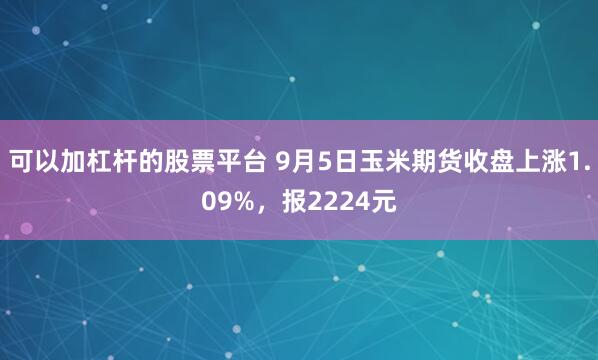 可以加杠杆的股票平台 9月5日玉米期货收盘上涨1.09%,报2224元