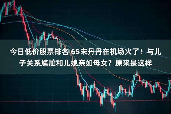 今日低价股票排名 65宋丹丹在机场火了！与儿子关系尴尬和儿媳亲如母女？原来是这样