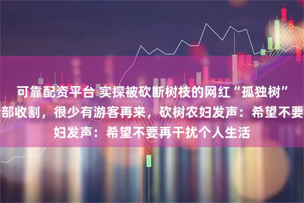 可靠配资平台 实探被砍断树枝的网红“孤独树”，周边麦田已全部收割，很少有游客再来，砍树农妇发声：希望不要再干扰个人生活